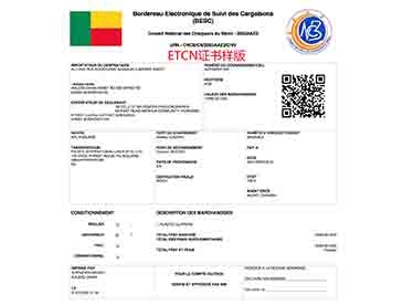 上海ETCN证书样版